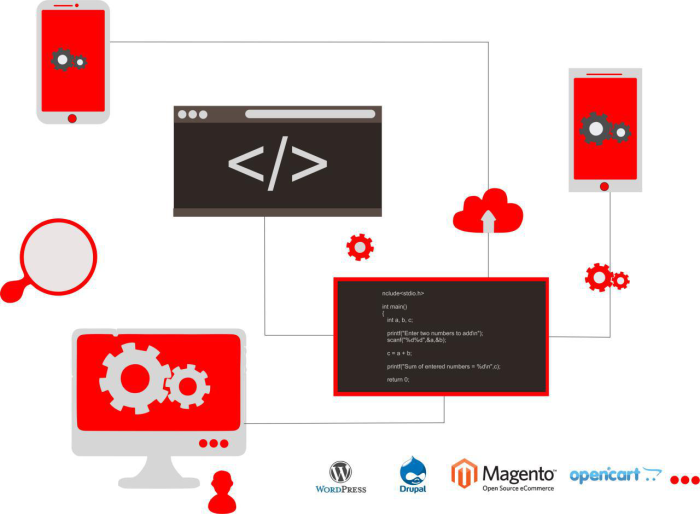 web app dev